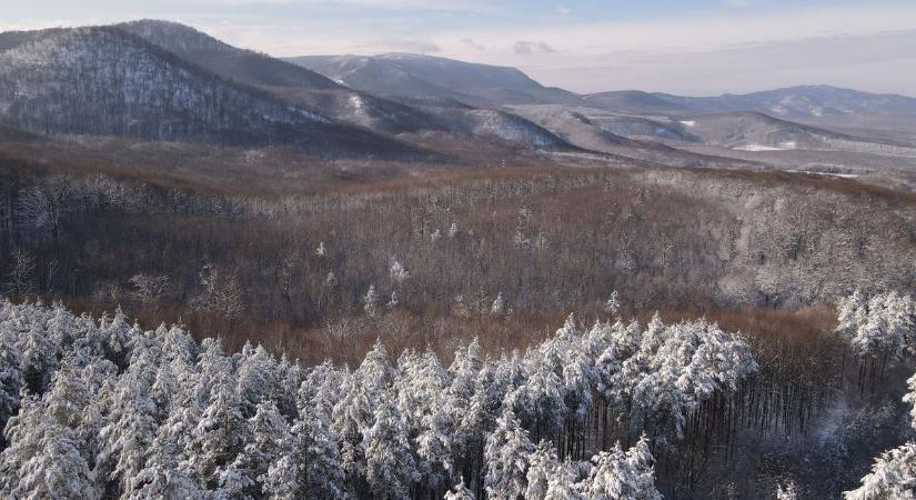 A vadvilág a Bükkben, Mátrában is alkalmazkodott a fagyos időhöz