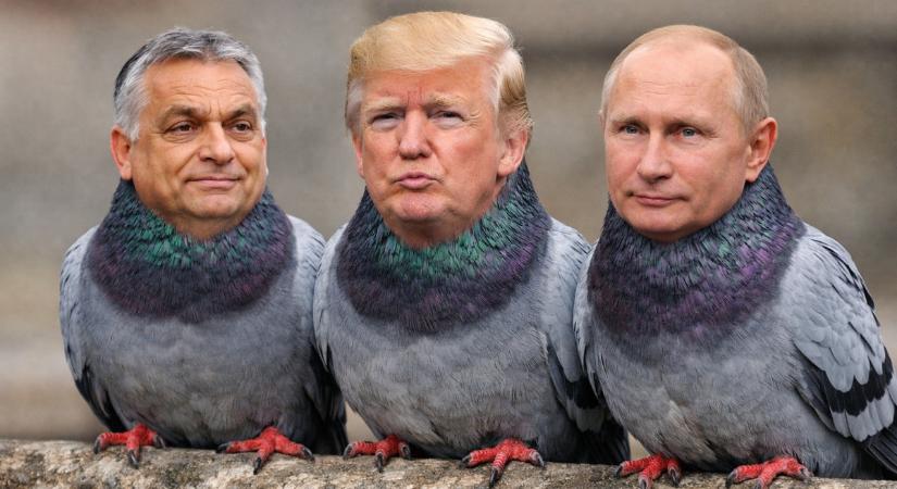 A Kreml szerint Orbán mellett Putyint is meghívták Trump gázai “béketanácsába”