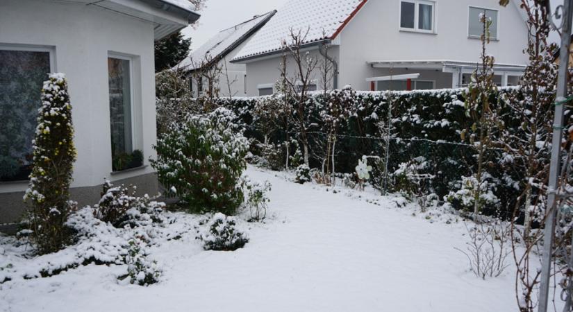 7 kerti trükk januárra, amitől a tavasz hamarabb beköszönt!