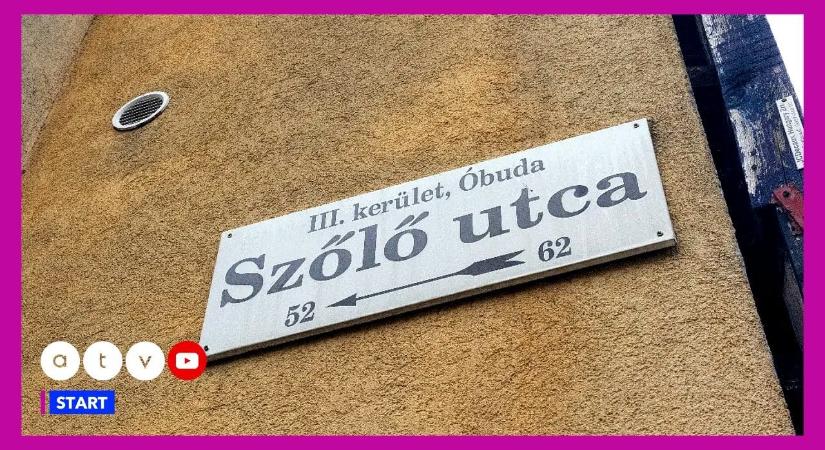 Most közölték: megszűnt a Szőlő utcai javítóintézet