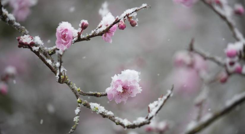 Mennyire lesz hosszú a tél? Ezt figyeld január 20-án, és kiderül