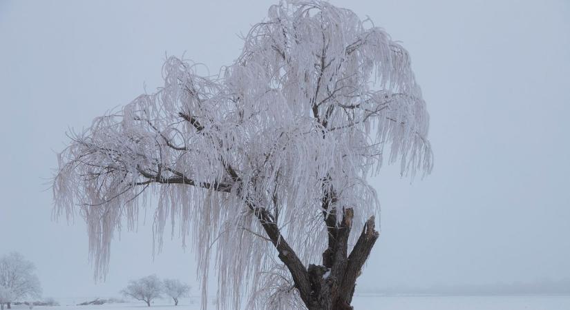 Ma több helyen várható zúzmara: mi az, és miért veszélyes?