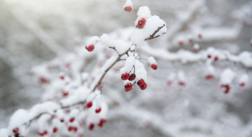 Előre szólok: nincs még vége a télnek