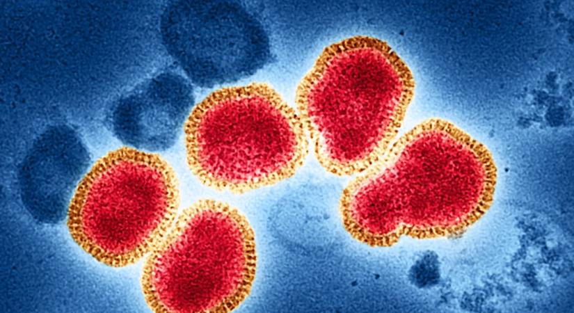 Milyen vírusokra számítanak az orvosok 2026-ban?