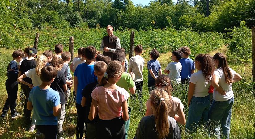 Több ezer óvodás és iskolás járt a debreceni erdei iskolában 2025-ben