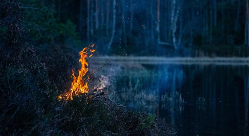 Kandalló és kerti faanyag: miért nem mindegy, mit égetsz?