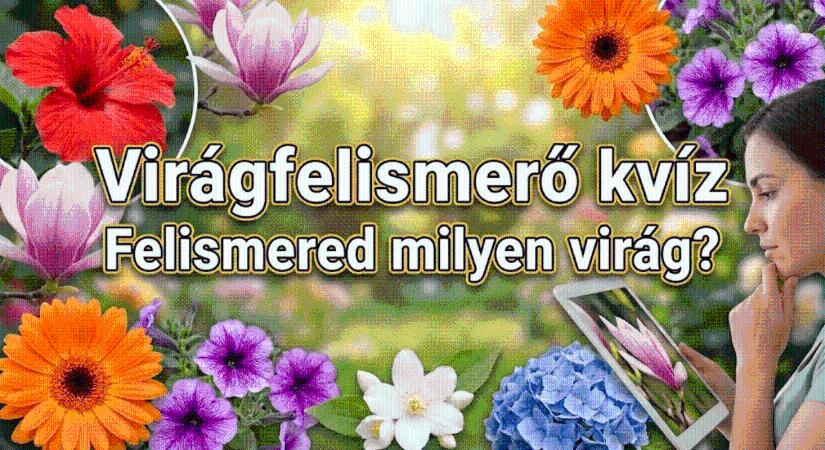 Ismeretterjesztő kvíz: 10 csodaszép virág – Tudod a nevüket a kép alapján?