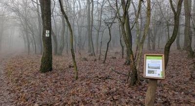 10 állomásos tanösvény készült a Budakeszi Vadaskertben