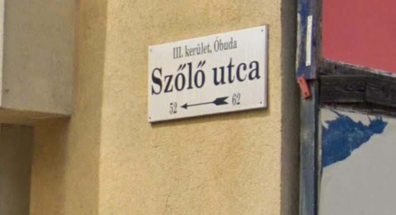 Azonnali hatállyal megszüntették a Szőlő utcai javítóintézetet