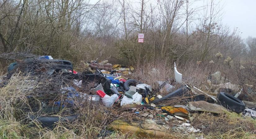 Sok száz tonnányi szemét erdeinkben - A Püspökerdőt is teleszórják az illegális szemetelők