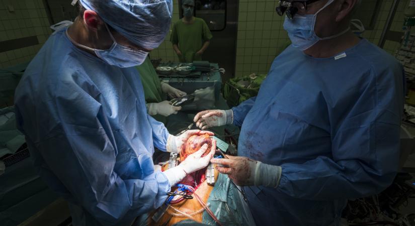 Minden donor életet ment: rekordot döntött tavaly a veseátültetések száma Magyaroszágon