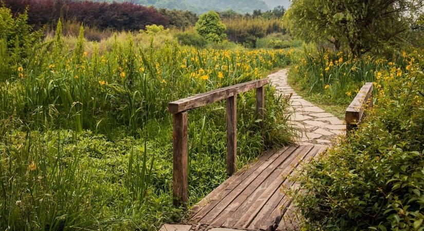 Szigorítás a Budai-hegységben, itt mostantól tilos letérni a turistaútról