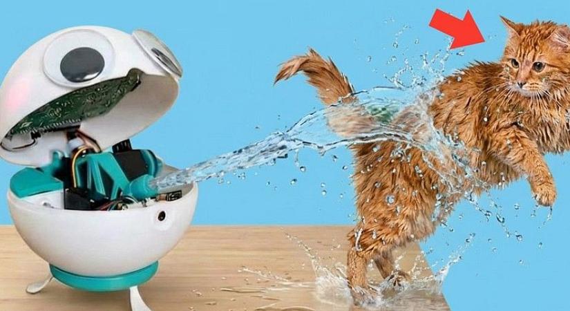 Itt a robot, ami lezavarja a macskád a konyhaszekrényedről, ha az felugrik rá