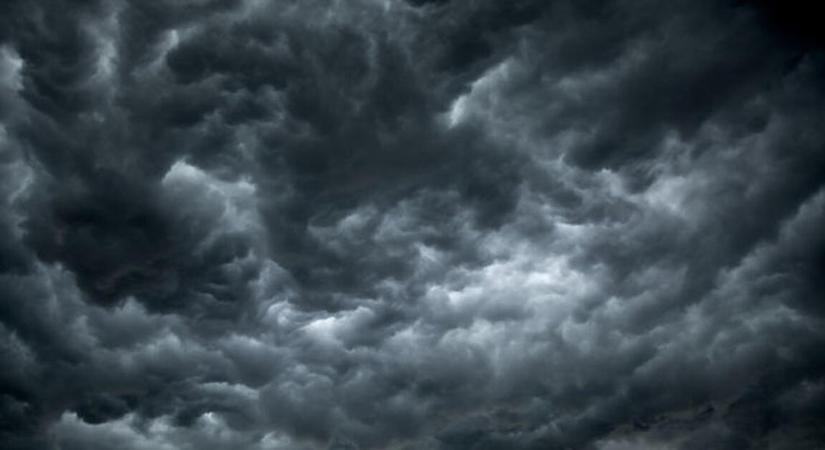 A világ vezérigazgatói is aggódva várják ezt az évet