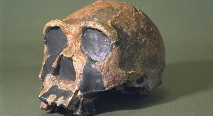 Ők lehettek az első emberek, akik tudtak beszélni