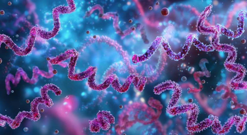 Súlyos nemi betegség terjed Szabolcsban: az orvosok riadót fújtak, a polgármester viszont cáfolna