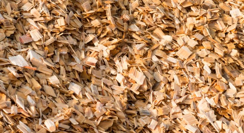 Alternatív hőenergia a gabonaszárításban: ocsú és faapríték helyettesítheti a gázt