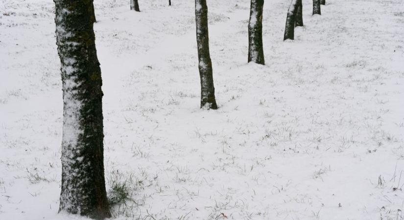 Hidegben eltévedt fiatal nő életét mentették meg a rendőrök