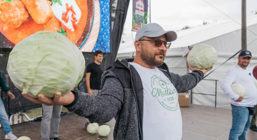 Vecsési Káposztafeszt 2026