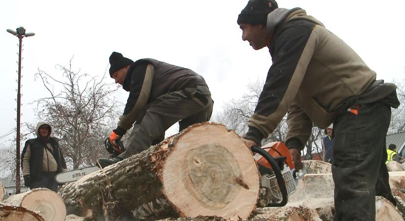 Már 160 tonna tűzifát juttattak el rászorulóknak Debrecenben