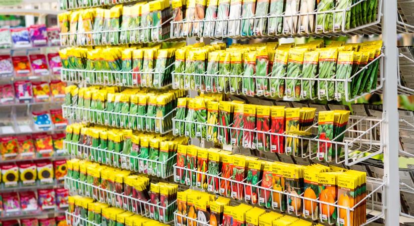 Ezt kell tenned télen, hogy nyáron gyönyörű legyen a veteményeskerted