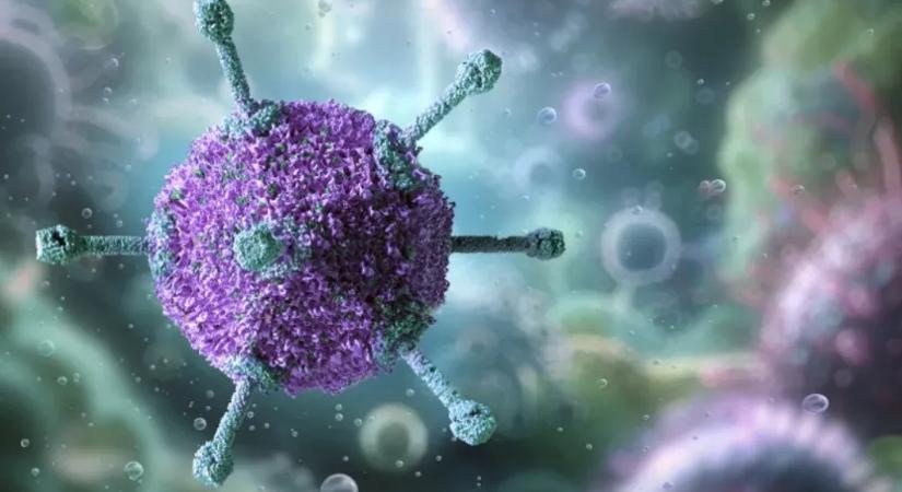 Olyan mutációkat szedtek össze az űrállomáson a kísérleti vírusok, amikkel meg tudják fertőzni a rájuk korábban rezisztens baktériumokat