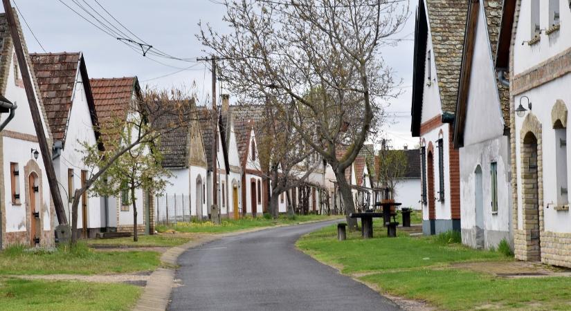 Tavaszi Pincenyitogató 2026 Hajós