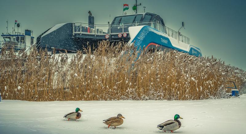 Szünetel a kompforgalom