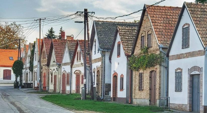 Tökös Pincenyitogató 2026 Hajós