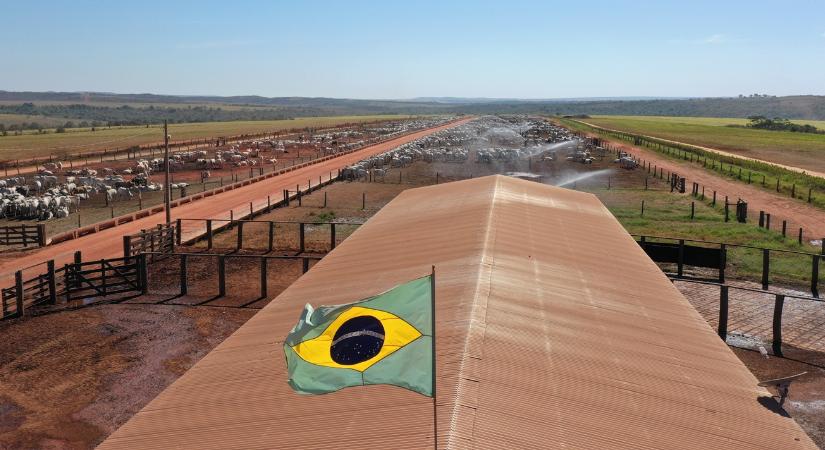 Hormonok, antibiotikumok, növényvédőszer-maradványok: ilyen lesz a dél-amerikai importhús?