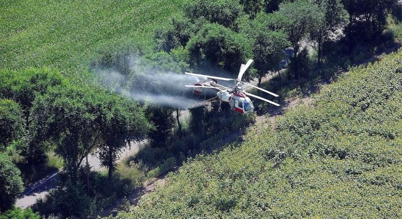 A Tisza gazdasági vezetője importálta a mérgező DDT-t Magyarországra