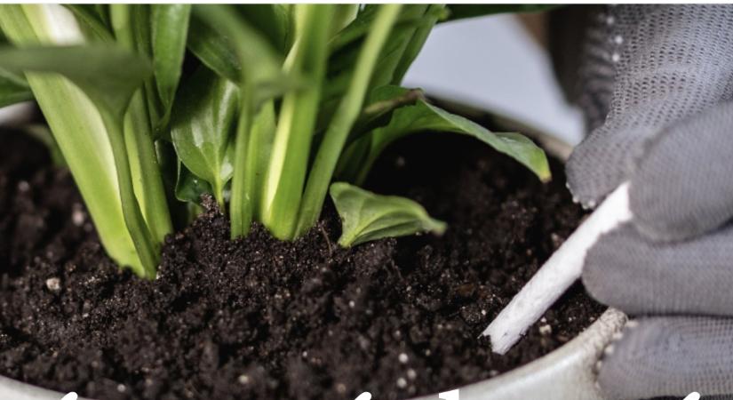 „Vashiányos” termésnövelő is akadt a Szupermenta táprúd tesztjén