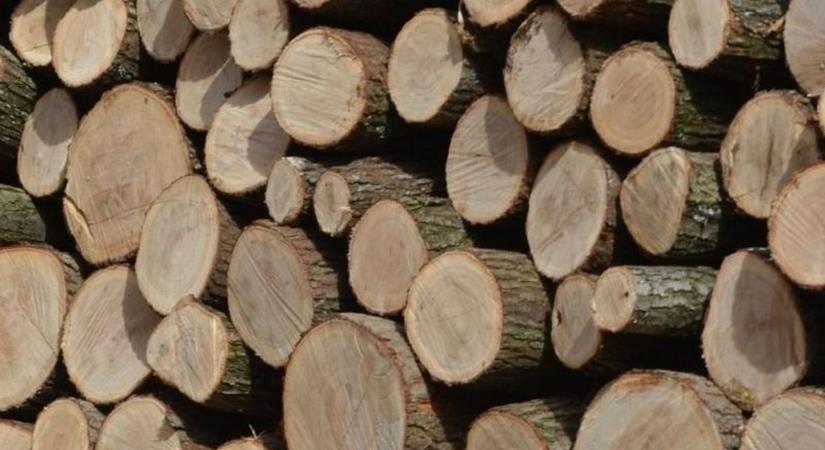 Az Operatív Törzs szerint most ezek segíthetnek a hideg ellen