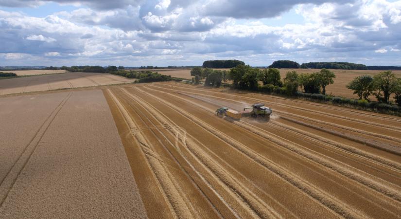 Drága európai gabona egy olcsó világpiacon – Mi lehet a jövő?