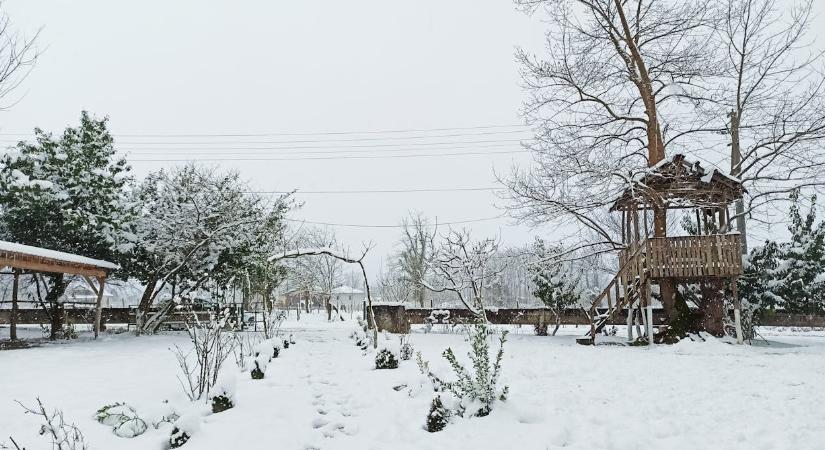 Szakember árulta el, megfagytak-e már a kártevők a kertben
