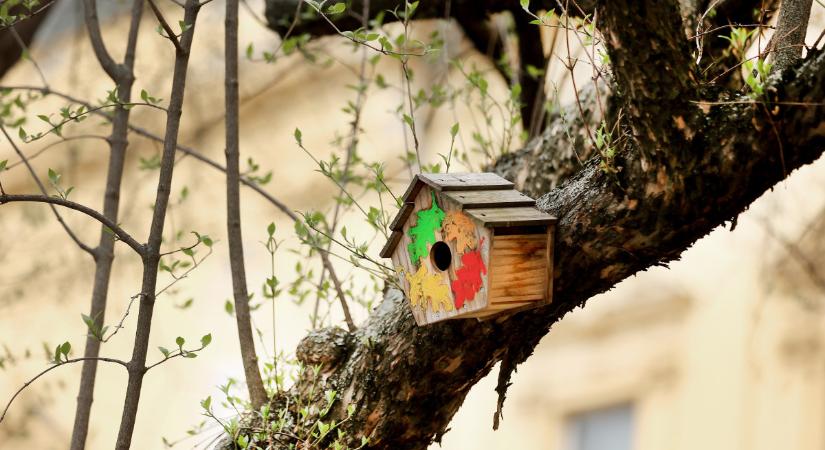 Programok Debrecenben január 19–25. között