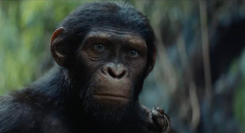 Óriási streamingsiker lett ez a 145 perces sci-fi