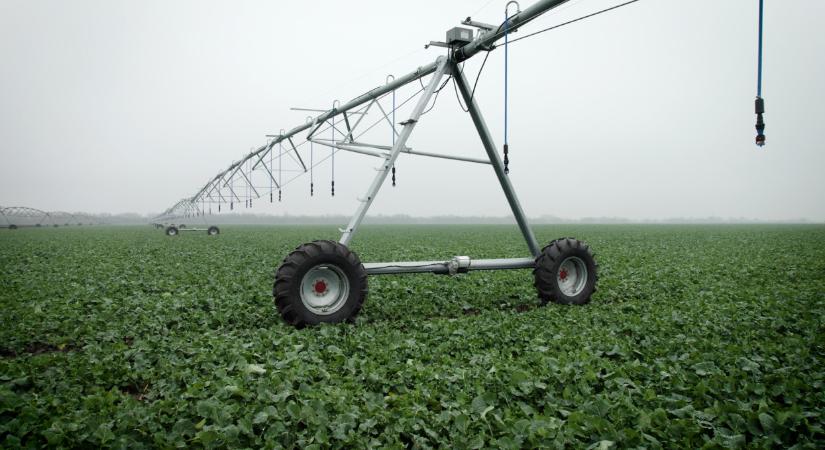 Hatalmas gazdaság működik Csongrád-Csanád megyében: így termelnek
