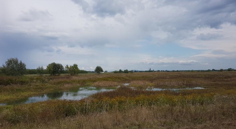 Vízmegtartás és ökológiai vízpótlás: innentől zsebre megy minden ötlet