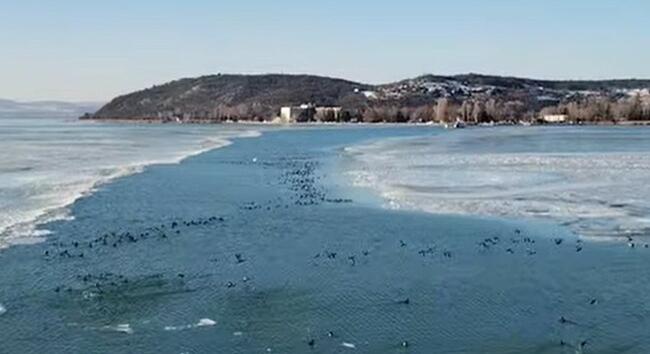 Nem közlekednek a kompok a Balatonon Szántód és Tihany között