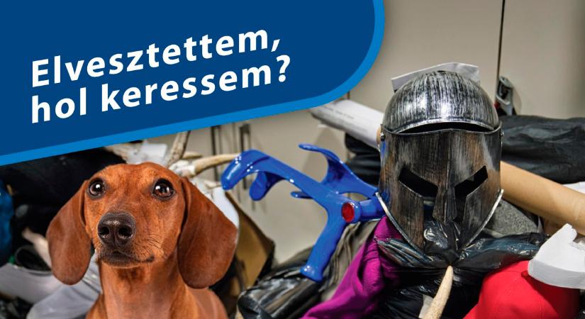 Közel 23 ezer tárgyat hagytak el az utasok a MÁV-csoport járművein 2025-ben