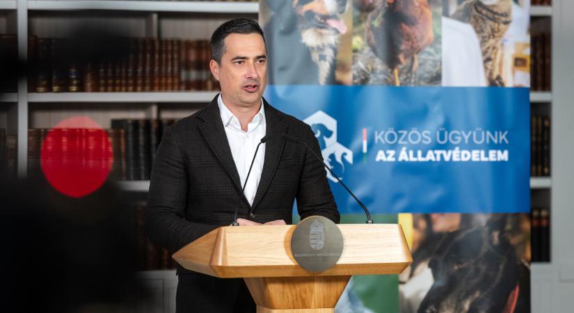 Folytatódik az állatvédő civil szervezetek támogatása: újabb 1 milliárd forintos pályázat jelent meg