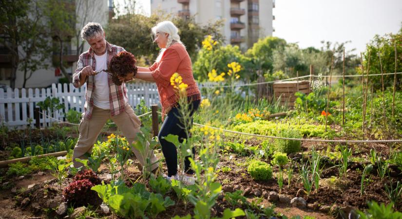 Kertészeti öröknaptár – Időtálló tudás a kertben, évről évre