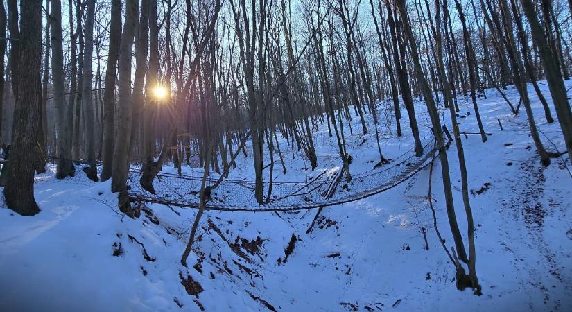 Hópaplan alatt – téli séta a Gyadai tanösvényen