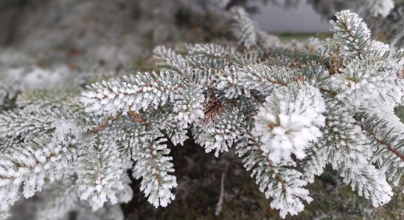 Zord hideg és zúzmarás köd: ilyen idő lesz holnap Bács-Kiskunban