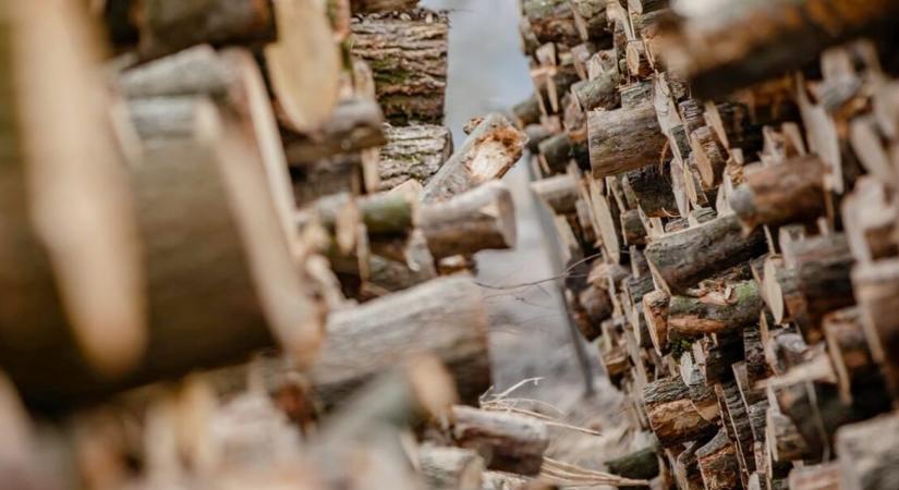 Mínusz 13 fokos fagy és ónos szitálás jön: gőzerővel szállítja a honvédség a tűzifát a rászorulóknak