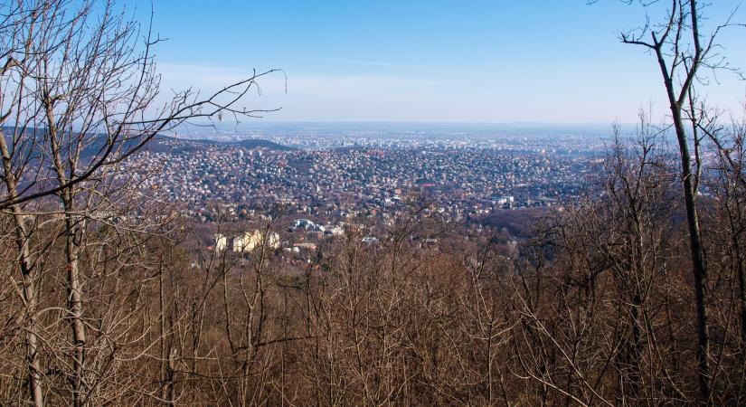 Újra lesz sífelvonó a Normafán