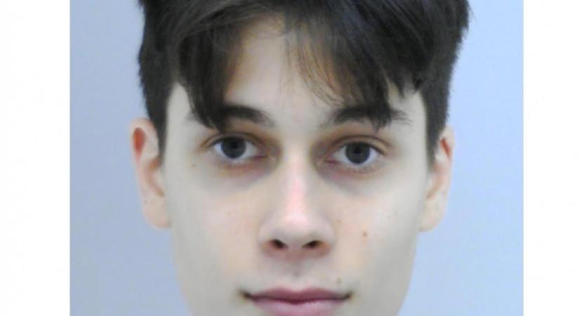 A család szerint nagy valószínűséggel Egressy Mátyás zuhant a Lánchídról a Dunába