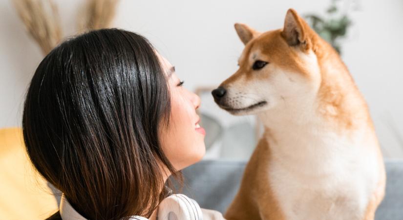 Így bánthatja a kisállatát egy nárcisztikus – elhanyagolás és fizikai bántalmazás is előfordulhat