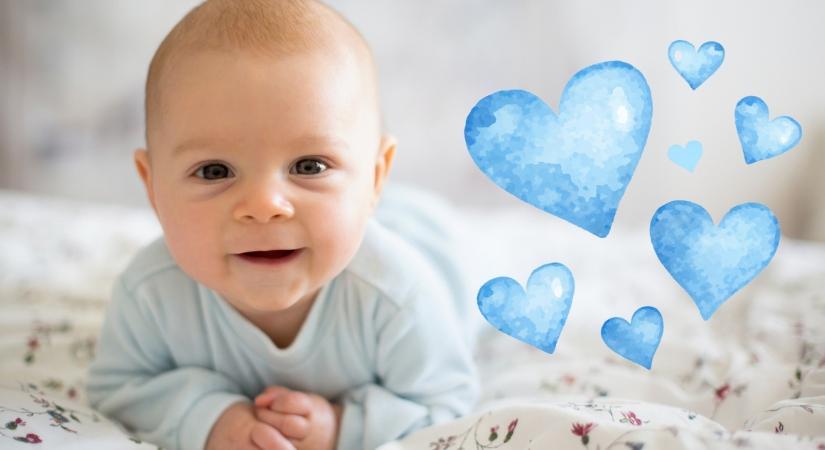 Új változatban lett anyakönyvezhető a Vilmos név